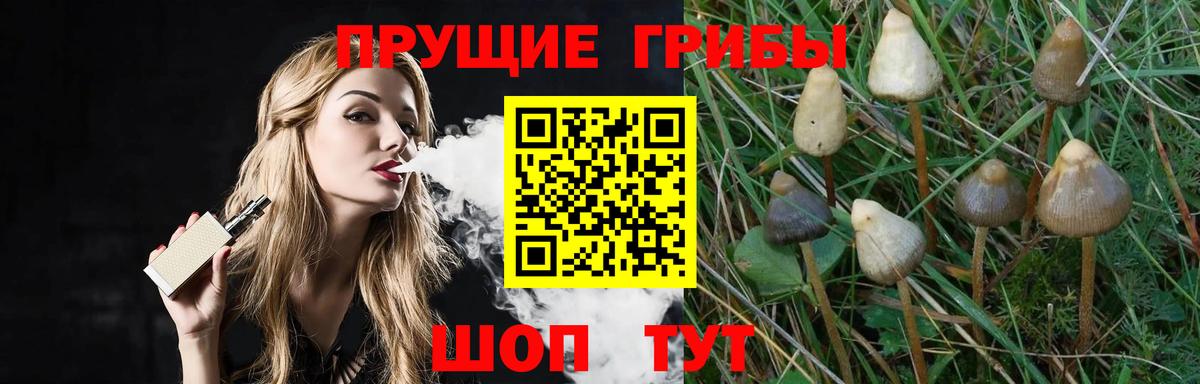 Ступино  Галлюциногенные грибы Psilocybine cubensis  Вход с VPN  Галлюциногенные грибы Cubensis 